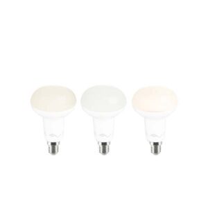Lampada R50 COB LED